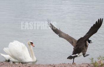 EA279201, Eastpress, Porvoo, Finland